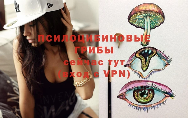 герыч Белая Холуница