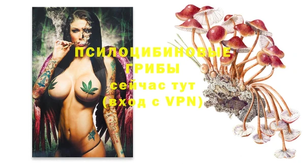 мдпв Михайлов