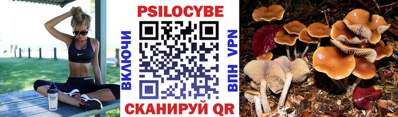 Галлюциногенные грибы Psilocybine cubensis  Бор 