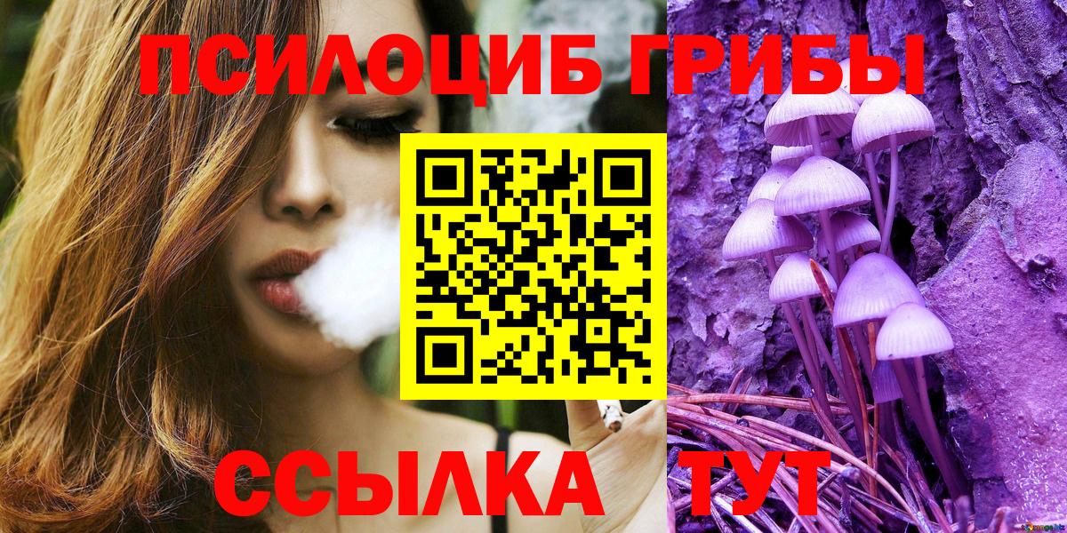 Псилоцибиновые грибы ЛСД Бор